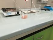 img-20171027-wa0012_38052625756_o.jpg